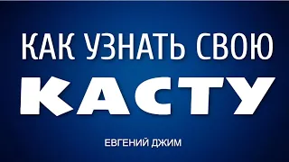 4 КАСТЫ. Как узнать свою Касту? Самый простой способ! Евгений Джим - Чакры ТВ