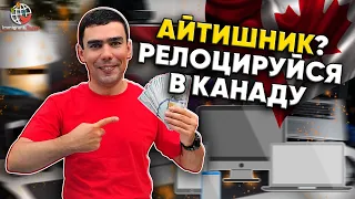 Как иммигрировать айтишнику: 7 способов