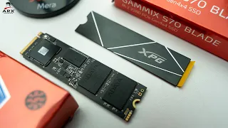 SSD Kencang Hasil Looting! Ternyata Begini Toh.... | ADATA XPG Gammix S70 Blade