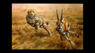 Big Cat Powerful Become Prey Of The Giant Anaconda - Wild Animal Attacks 2020