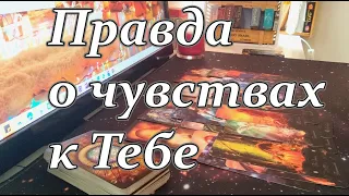 💥Прямо сейчас❗Его безумная правда о чувствах к Тебе❗Taro Dora #ракладтаро