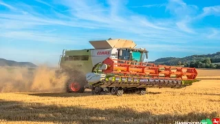 Weizenernte 2016 | Claas Lexion 770 mit 1050Vario | wheat harvest | Farming