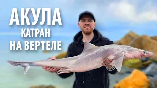 Акула «Катран» жареная на вертеле возле Чёрного моря