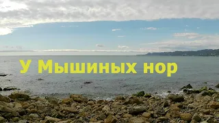 Дикий пляж у Мышиных нор