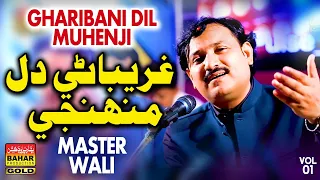 Ghareebani Dil |Master Wali | Album 01 | Bahar Gold Production