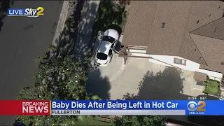 Fullerton Police: Infant Dead After Being Left In Hot Car