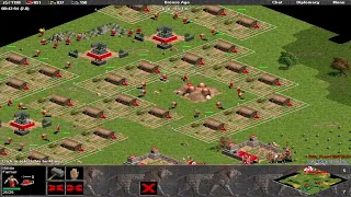 AOE2 Building Destruction Mastery