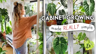 Greenhouse Cabinet 101 🌱 EVERYTHING You Need To Know + How To Do It Better