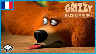 Grizzy le Lemming 🐻🐹| Grizzy et les Lemmings | Boomerang