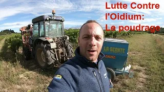 Lutte contre l'Oidium: Le Poudrage