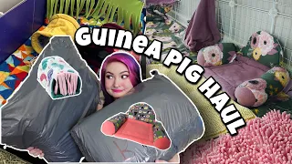 THE BEST GUINEA PIG HAUL YET! 🐽💗