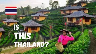 A Hidden Gem In Thailand | Ban Rak Thai | Yunnan Village On Myanmar Border