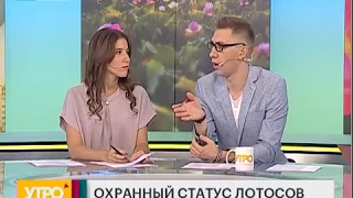 Охранный статус лотосов. Утро с Губернией. 13/08/2018.  GuberniaTV