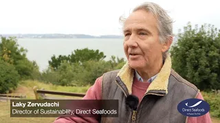 Direct Seafoods on Sustainability: Sustainable fish & seafood