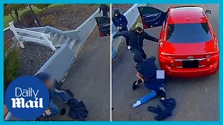 Brave man fights off FOUR carjackers who tried to steal his vehicle