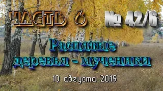 42 ч 6 распятые деревья мученики