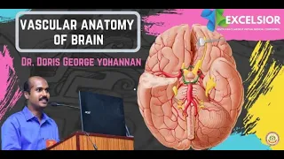 Vascular Anatomy of Brain (for MBBS students) | Excelsior '20 | Dr Doris George