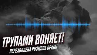 😱 "Гробят людей тысячами! Трупный запах!" Військовий РФ розкрив правду про втрати армії Путіна!