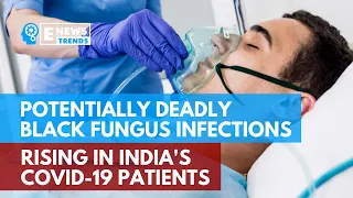 Potentially Deadly Black Fungus Infections Rising in India's COVID-19 Patients