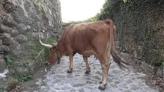 En sillonnant le MINHO, région située au nord du PORTUGAL