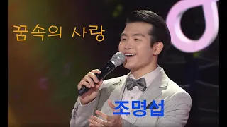 🎶꿈속의 사랑 💕조명섭  [가요힛트쏭] KBS 방송