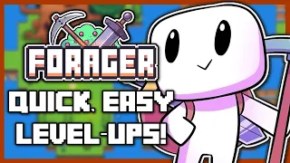 Quick and Easy Early Game Level Up Guide for #Forager