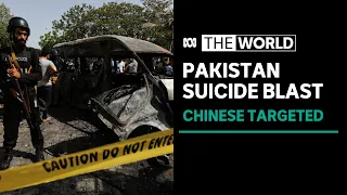 Pakistani PM vows to punish those behind attack that killed three Chinese teachers | The World