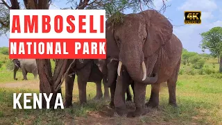 Amboseli National Park | Kenya