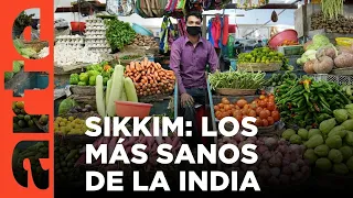 India: Sikkim, la experiencia bio | ARTE.tv Documentales