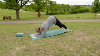 Dolphin Pose - 4-H Yoga for Kids