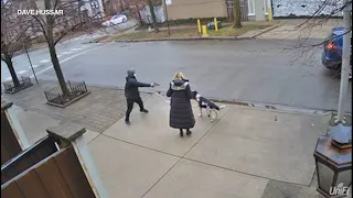 Woman robbed at gunpoint while walking dog in Chicago