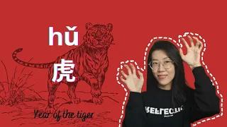 Year of the tiger- Chinese idioms and slangs that  you can learn about the the character hǔ虎(tiger).