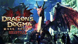 Грейтволл и тот самый Дракон ⚔ Dragon's Dogma: Dark Arisen Прохождение игры #13