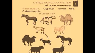 Үй жануарлары 1 сынып 2020