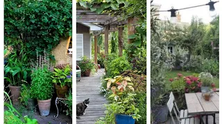 Beautiful Backyard Garden Ideas 2024 | Decor your backyard with gardening