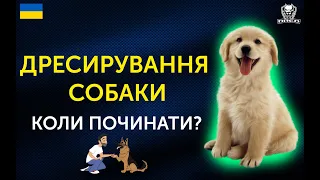 🇺🇦В ЯКОМУ ВІЦІ ТРЕНУВАТИ СОБАКУ? | ОСОБИСТА ДУМКА І ПОРАДИ ВІД ПРОФЕСІОНАЛА