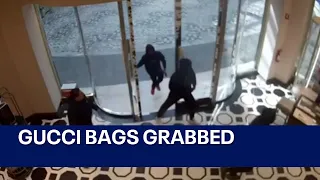 Thieves grab luxury Gucci bags