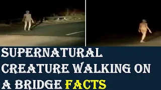 Supernatural Creature Walking on Bridge Goes Viral | Video of Supernatural Creature | Fact Checking