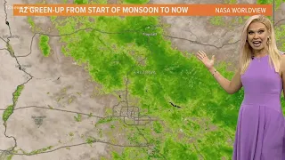 Arizona sees drastic increase in green plant cover thanks to monsoon storms