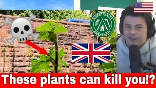American Reacts Top 10 Poisonous Plants in the UK | THIS COULD SAVE YOUR LIFE!