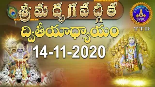 శ్రీమద్భగవద్గీత | SRIMADBHAGAVADGITA | TIRUMALA | 14-11-2020 | SVBC TTD