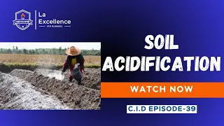 || Soil Acidification || By Mr. Vinayak |C I D Episode-39|#cidepisode #dailycurrentaffairs #soil