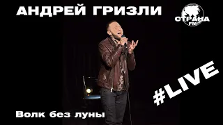 Андрей Гризли - Волк без луны (Страна FM LIVE)