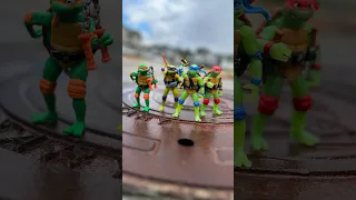 TMNT Mutant Mayham action figures