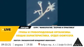 Лекция "Грибы и грибоподобные организмы. Общая характеристика. Отдел Oomycota" курса "Микология"