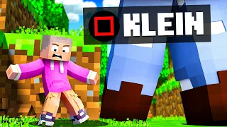 FREUNDE werden SUPER KLEIN! - Minecraft Freunde 2