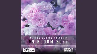 The Magic (In Bloom 2022)
