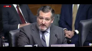 Ted Cruz slams judicial nominee in heated confirmation hearing | LiveNOW from FOX