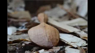 Carving an Asymmetric Eating Spoon from Seasoned Cherry