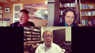 IFS and the Window of Tolerance with Richard Schwartz and Michelle Glass